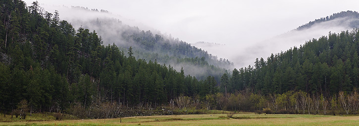 Fog Moving In On the Black Hills, SD